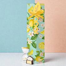 Набор двуслойных конфет: суфле со вкусом манго + ванильное безе в горьком шоколаде 