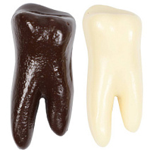 Шоколадный зуб (скульптура) в ассортименте